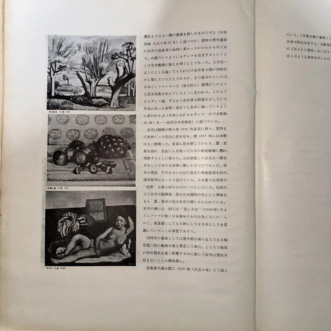 貴重レア 初版日本現代画家選 安井曽太郎 鈴木信太郎 宮本三郎 美術本