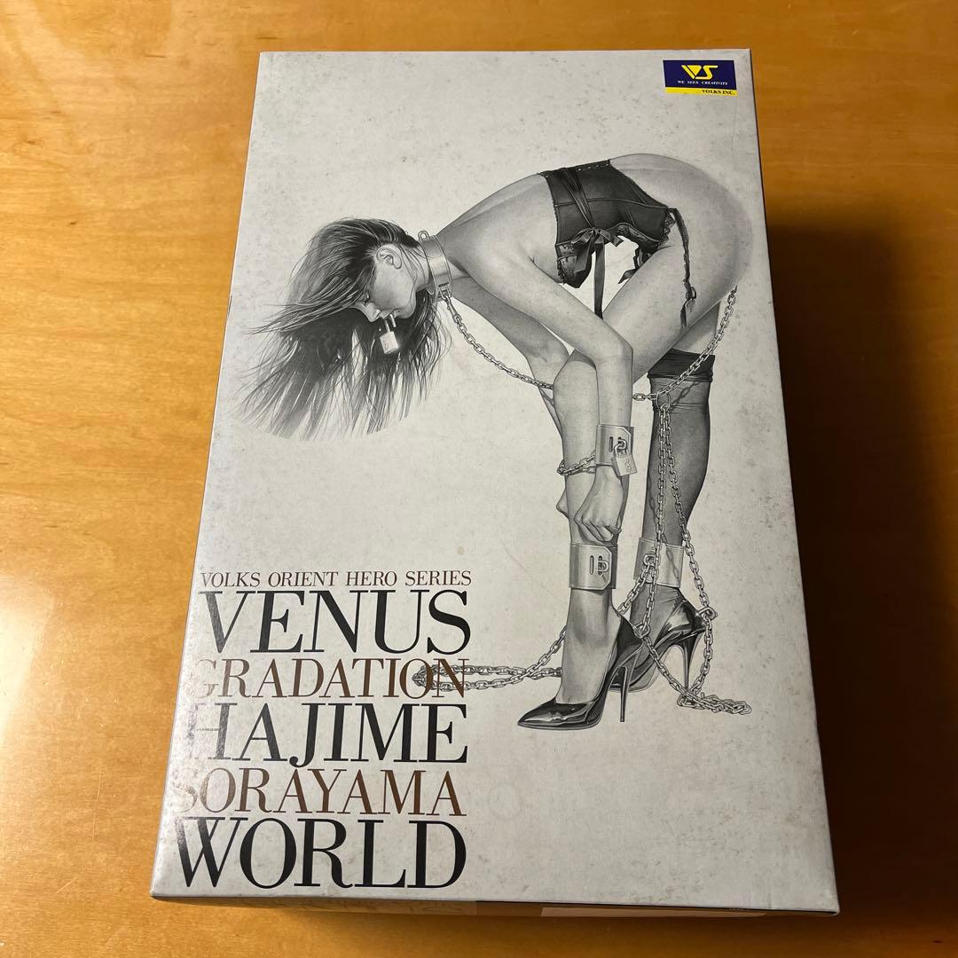 VENUS GRADATION HAJIME SORAYAMA WORLD空山基 VENUS GRADATION HAJIME SORAYAMA WORLD空山基 - メルカリ