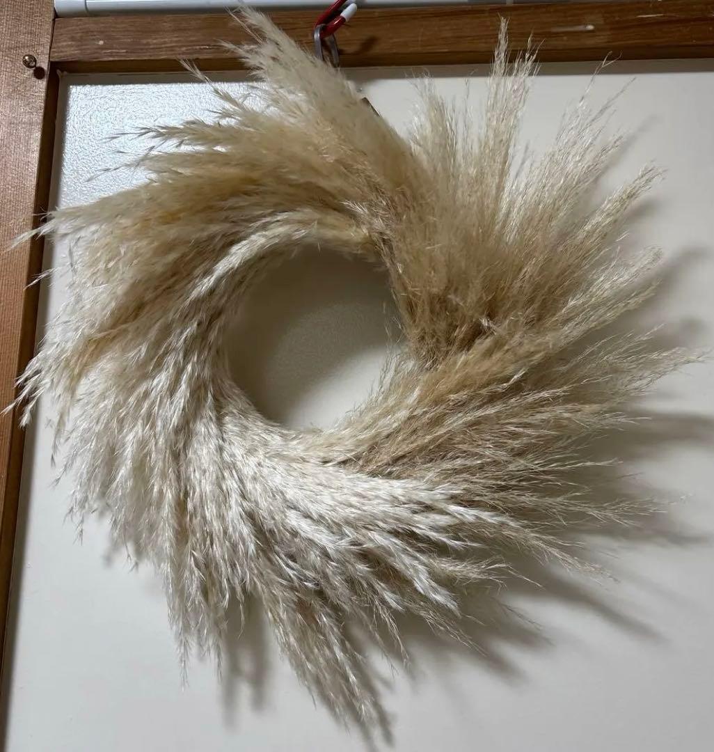 ハンドメイド　ドライフラワーリース パンパスグラス使用 コットンとパンパスグラスのドライフラワーリース リース aimo 通販