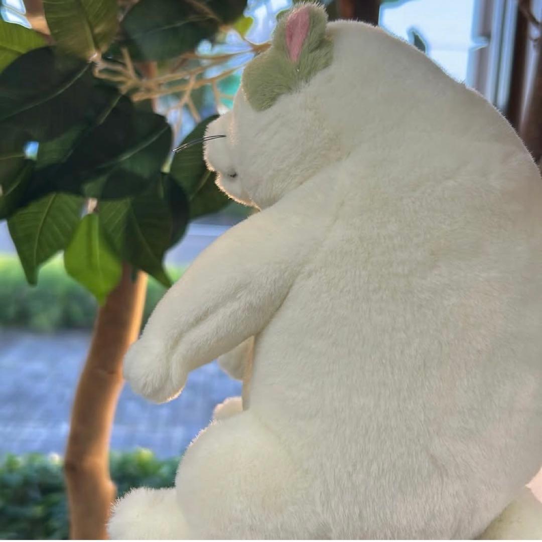 ジブリパーク どんぐり共和国 新商品 猫の恩返し ムタ ムタさん