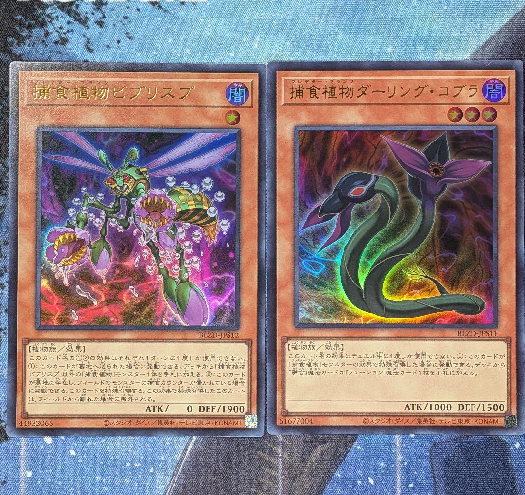 捕食植物ビブリスプ ダーリングコブラ ウルトラ ブレイジング