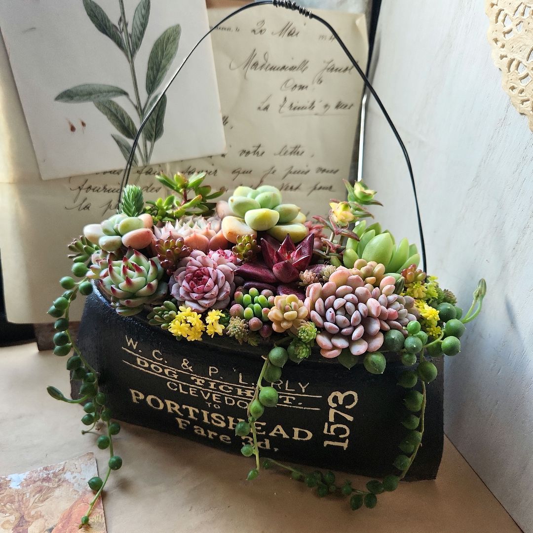 多肉植物寄せ植え そのまま飾れる リメイク缶バック♡ - メルカリ