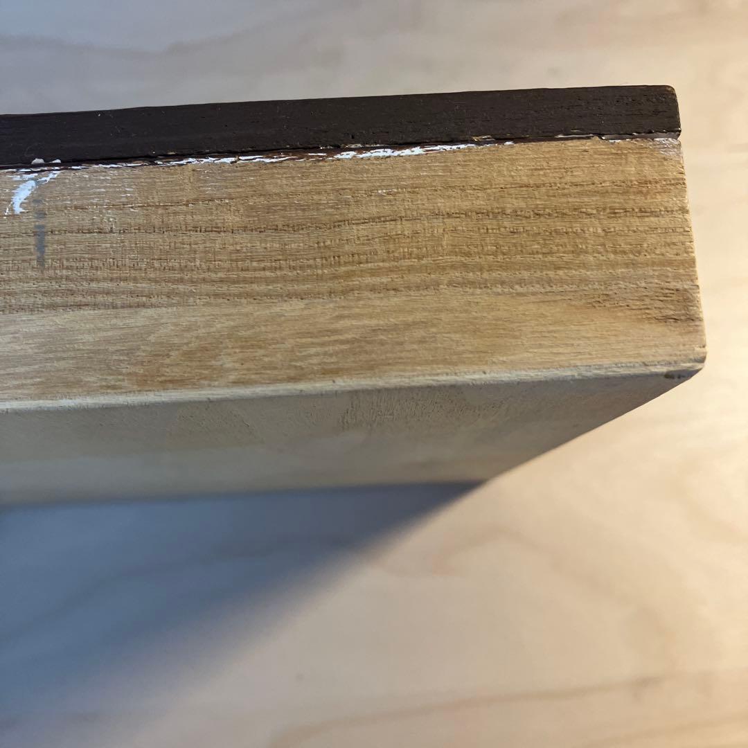 《子供手作り》SDGs作品 環境問題 手作り