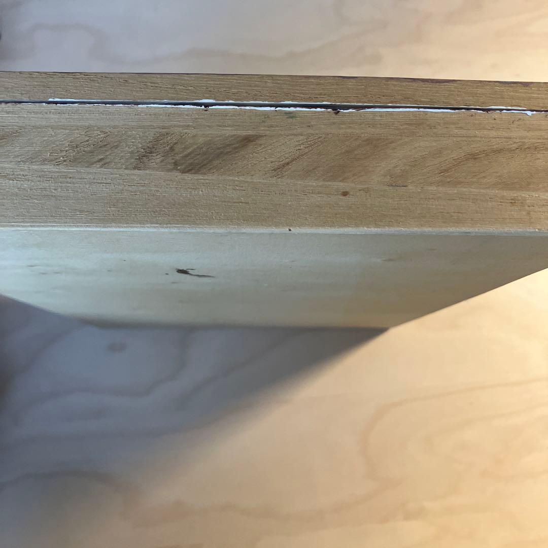 《子供手作り》SDGs作品 環境問題 手作り