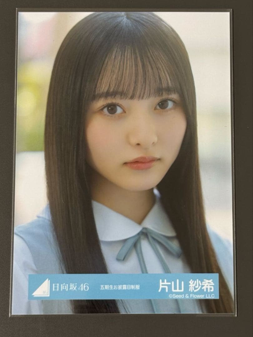 日向坂46 片山紗希 5期生 生写真 五期生お披露目制服 ヨリ - メルカリ