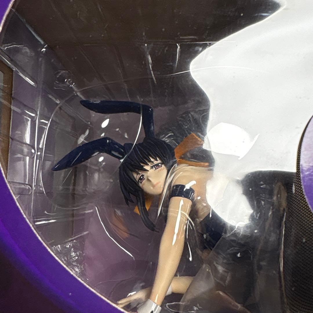 未開封貴重品ハイスクールD×D NEW 姫島朱乃 バニーVer. 1/4
