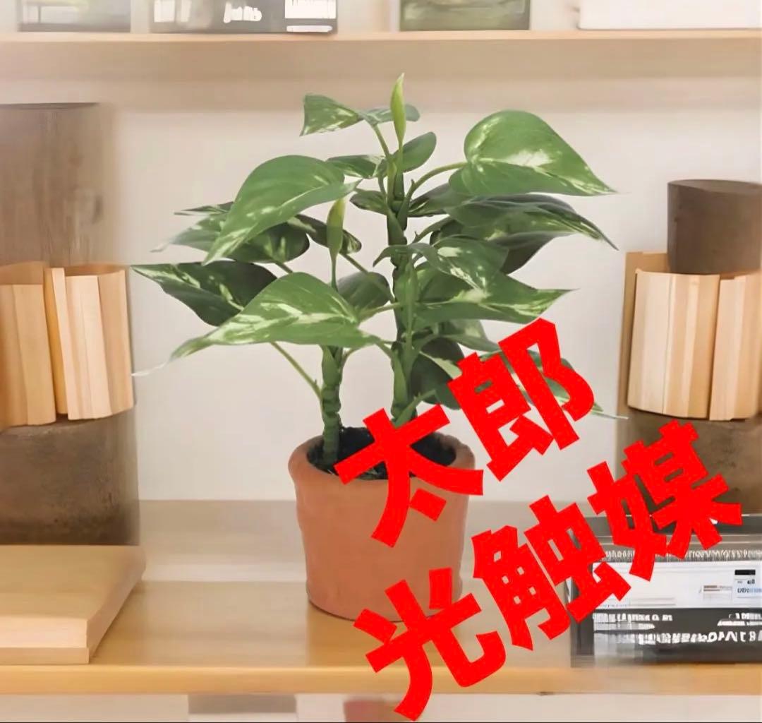 光触媒 人工観葉植物 ウォールグリーン フェイクグリーン ポトス花器付
