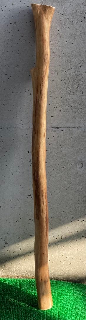 希少　樹齢150〜200年　杉枝　約143cm 鑑賞　庭　インテリア 骨董　華道 希少 樹齢150〜200年 杉枝 約143cm 鑑賞 庭 インテリア 骨董 華道