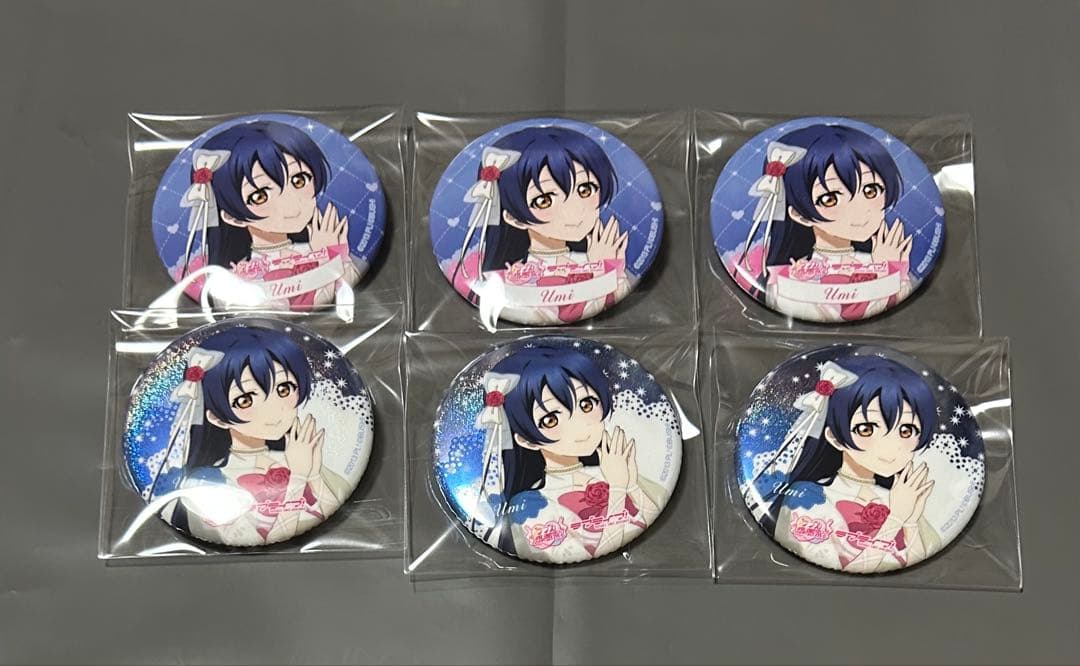ラブライブ ラブカ感謝祭 缶バッジ μ's 園田海未 - メルカリ