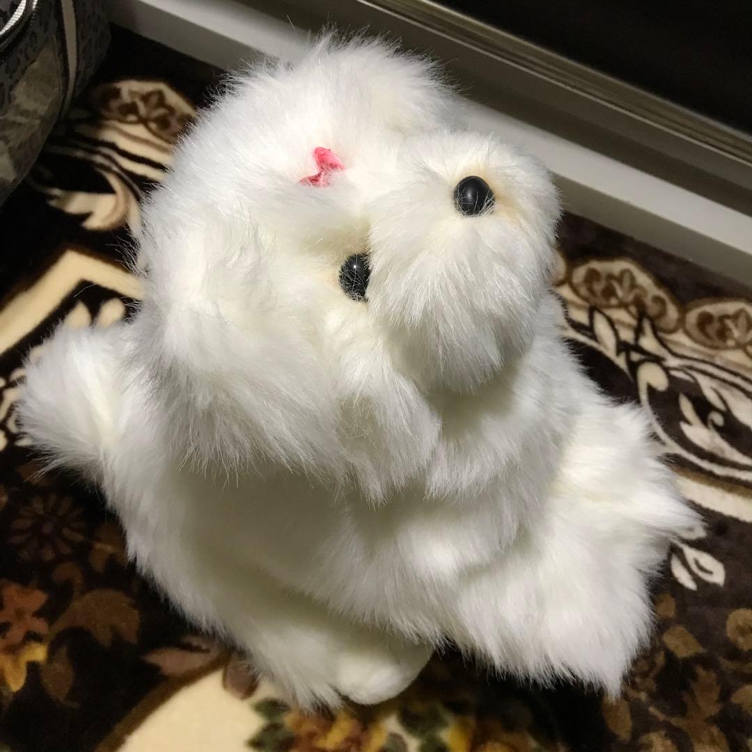 ぬいぐるみ 犬 マルチーズ ファースト社 タグ付き 美品❣️ - メルカリ